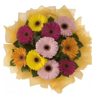 Dikmen Keklikp�nar� �i�ek sipari�i vermek  11 adet kar���k gerbera �i�e�i buketi