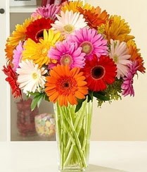 ankara �i�ek�i Dikmen ucuz �i�ek g�nder  15 adet gerbera �i�ek vazosu