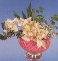 Ankara Dikmen Mrselulu hediye iek yolla  Dal orkide kalite bir hediye