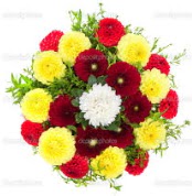 �i�ek�i Dikmen �i�ek servisi , �i�ek�i adresleri  13 adet mevsim �i�e�inden g�rsel buket