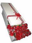 Dikmen Ankara �i�ek g�nder uluslararas� �i�ek g�nderme  11 adet 1.kalite magnum g�ller