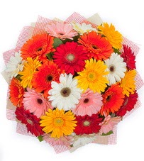 15 adet renkli gerbera buketi Dikmen sokullu ankara internetten �i�ek sat��� 