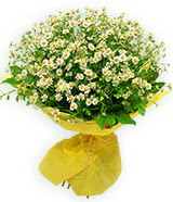 sadece papatya buketi Ankara Dikmen �lker �i�ek yolla , �i�ek g�nder , �i�ek�i  