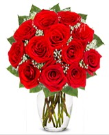 12 adet vazoda k�pk�rm�z� g�l Dikmen Harbiye ankara �nternetten �i�ek sipari�i 