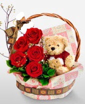 sepet i�erisinde 5 adet g�l ve 15 cm ay�c�k A�a�� Dikmen ankara �i�ek�i telefonlar� yurti�i ve yurtd��� �i�ek sipari�i 