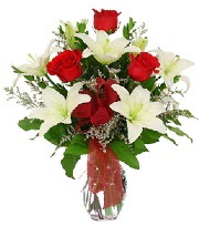 5 adet k�rm�z� g�l ve 1 dal kazablanka Dikmen ankara �i�ek ma�azas� , �i�ek�i adresleri 