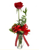 vazo i�erisinde 1 adet k�rm�z� g�l Dikmen Ankara �i�ek g�nder uluslararas� �i�ek g�nderme 