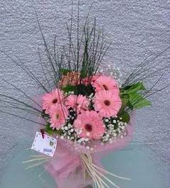 Dikmen Keklikp�nar� �i�ek online �i�ek sipari�i  Pembe gerbera mevsim �i�ekleri
