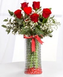 Cam vazoda 5 adet k�rm�z� g�l kalp �ubuk Dikmen Akp�nar Ankara  hediye sevgilime hediye �i�ek 
