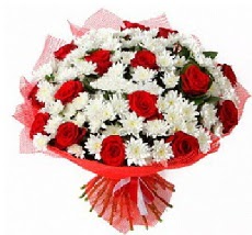 11 adet k�rm�z� g�l ve 1 demet krizantem Ankara Dikmen M�rselulu� hediye �i�ek yolla 