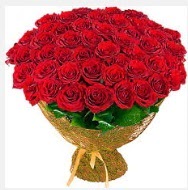 51 adet g�l 1 g�nl���ne indirimde Dikmen Ankara �i�ek g�nder uluslararas� �i�ek g�nderme  