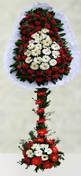 Ankara Dikmen kaliteli taze ve ucuz �i�ekler  �ift katl� d���n a��l�� �i�e�i