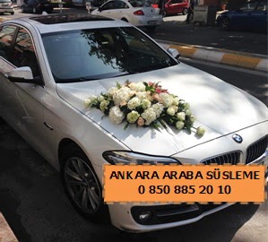 Ankara d���n araba s�sleme Dikmen �lkad�m �i�ek g�nderme sitemiz g�venlidir 