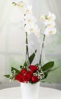 2 dall beyaz orkide 7 adet krmz gl Dikmen ankara iek siparii iek gnderme 