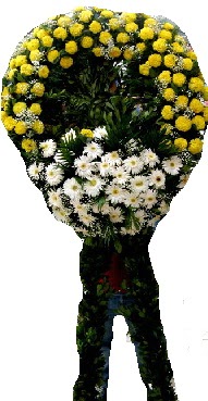 cenaze �elenk �i�e�i A�a�� Dikmen ankara �i�ek�i telefonlar� yurti�i ve yurtd��� �i�ek sipari�i 
