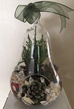 Orta boy armut terrarium 3 kakt�s Ankara Dikmen �i�ek sipari�i sitesi 