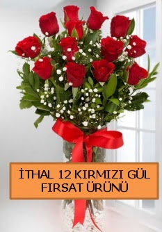  �thal k�rm�z� 12 adet kaliteli g�l Dikmen Akp�nar Ankara  hediye sevgilime hediye �i�ek 