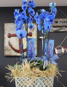 4 dall zel mavi orkide Ankara iek sat Dikmen online ieki , iek siparii 