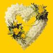 Dikmen Ankara �i�ek g�nder uluslararas� �i�ek g�nderme  1.20m x 1m  Gerbera - G�ller