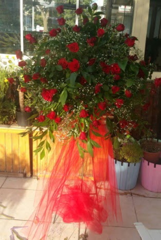 71 adet k�rm�z� g�lden ferf�rje �i�e�i Ankara Dikmen 14 �ubat sevgililer g�n� �i�ek 
