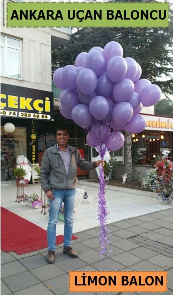 Ankara 50 adet istenilen renkte u�an balon Dikmen Akp�nar Ankara  hediye sevgilime hediye �i�ek 