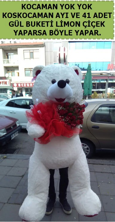 Koskocaman beyaz ay� ve 25 adet g�l Dikmen ankara �i�ek ma�azas� , �i�ek�i adresleri 