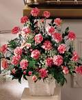 Dikmen Harbiye ankara �nternetten �i�ek sipari�i  Minyat�r ve pembe karanfiller