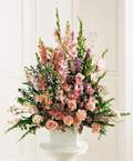 Ankara Dikmen 14 �ubat sevgililer g�n� �i�ek  Glayor karanfil Gerbera tanzim