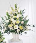 Dikmen �lkad�m �i�ek g�nderme sitemiz g�venlidir  Sebboy krizantem gala tanzim