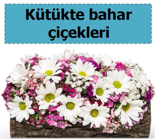K�t�k i�erisinde k�r �i�ekleri �ve�ler Dikmen anneler g�n� �i�ek yolla 