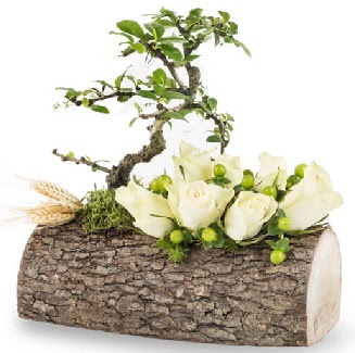 Do�al k�t�kte bonsai a�ac� ve 7 beyaz g�l Ankara Dikmen Osmantemiz online �i�ek g�nderme sipari� 