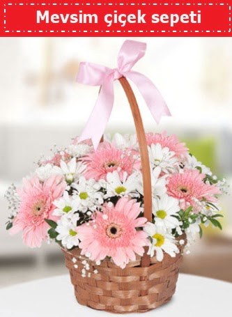 Mevsim k�r �i�ek sepeti �ve�ler Dikmen anneler g�n� �i�ek yolla 