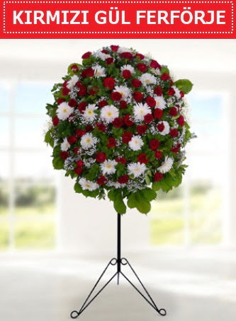 K�rm�z� g�l ferf�rje 40 adet g�l ve gerbera Dikmen cicek , cicekci 