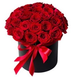 25 adet k�rm�z� g�l k�z isteme �i�e�i Ankara Dikmen kaliteli taze ve ucuz �i�ekler 